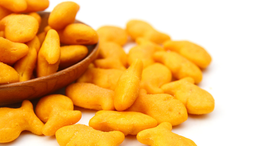 This week at Witty's asleep, quick post goldfish pics