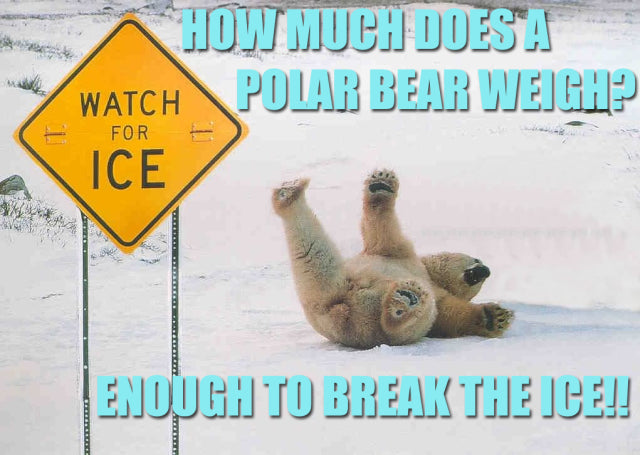 This Week At How Much Does A Polar Bear Weigh?